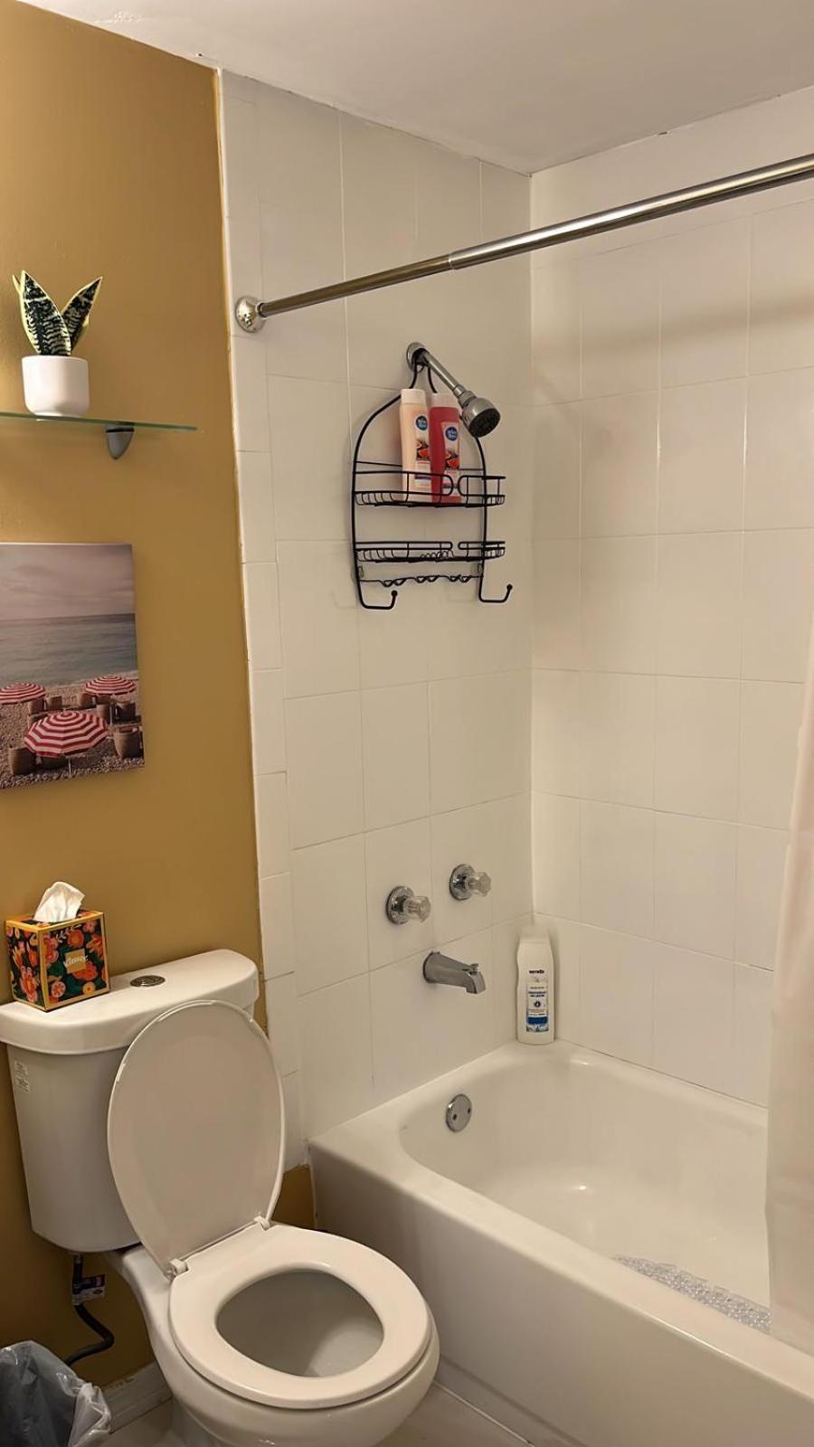 Beautiful, Fully Furnished 4Bed 2Bath House - 5 Minute Walk To Miracle Mile Downtown Coral Gables Villa Miami Exterior foto