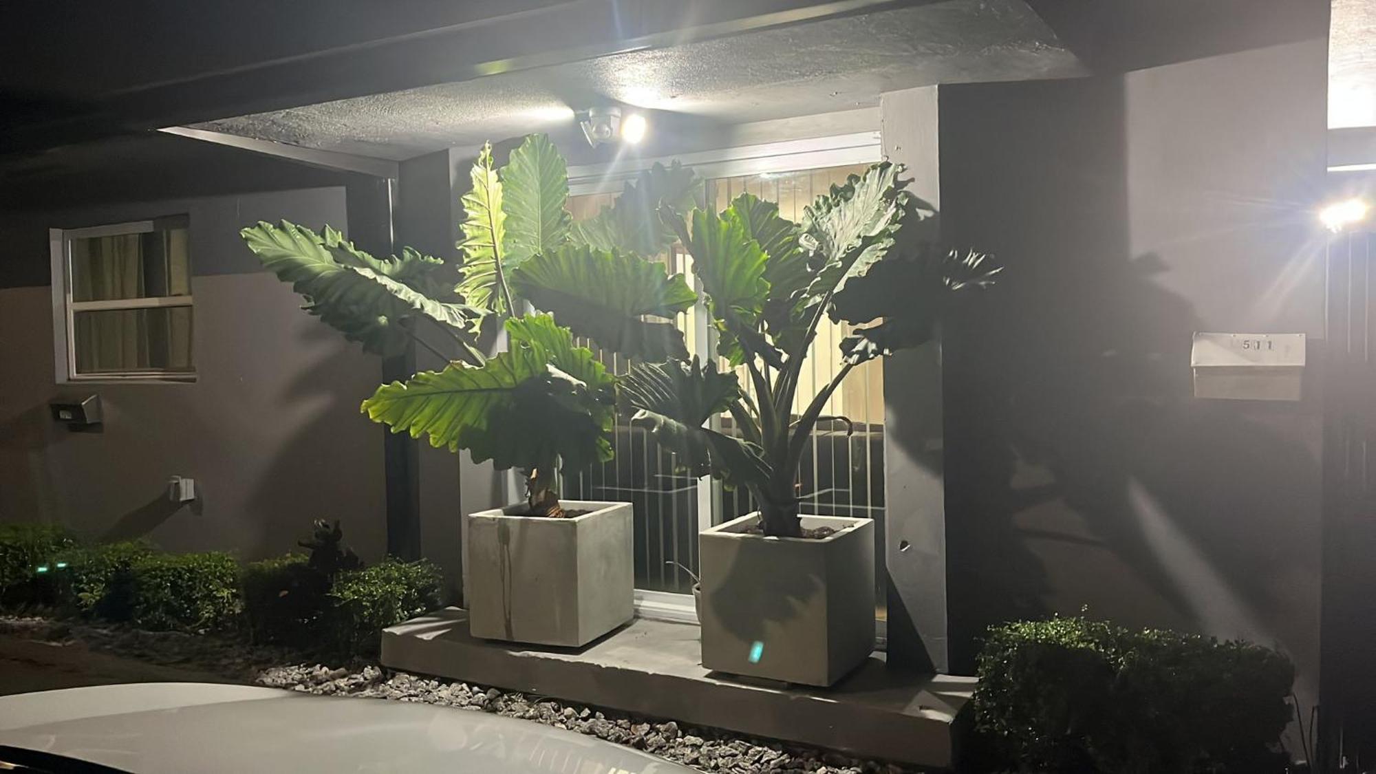 Beautiful, Fully Furnished 4Bed 2Bath House - 5 Minute Walk To Miracle Mile Downtown Coral Gables Villa Miami Exterior foto